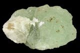 Botryoidal Green Smithsonite - Mexico #134027-1